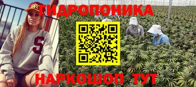 стафф Обнинск