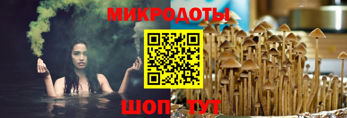 Галлюциногенные грибы MAGIC MUSHROOMS  магазин    Семёнов  Вход с VPN 